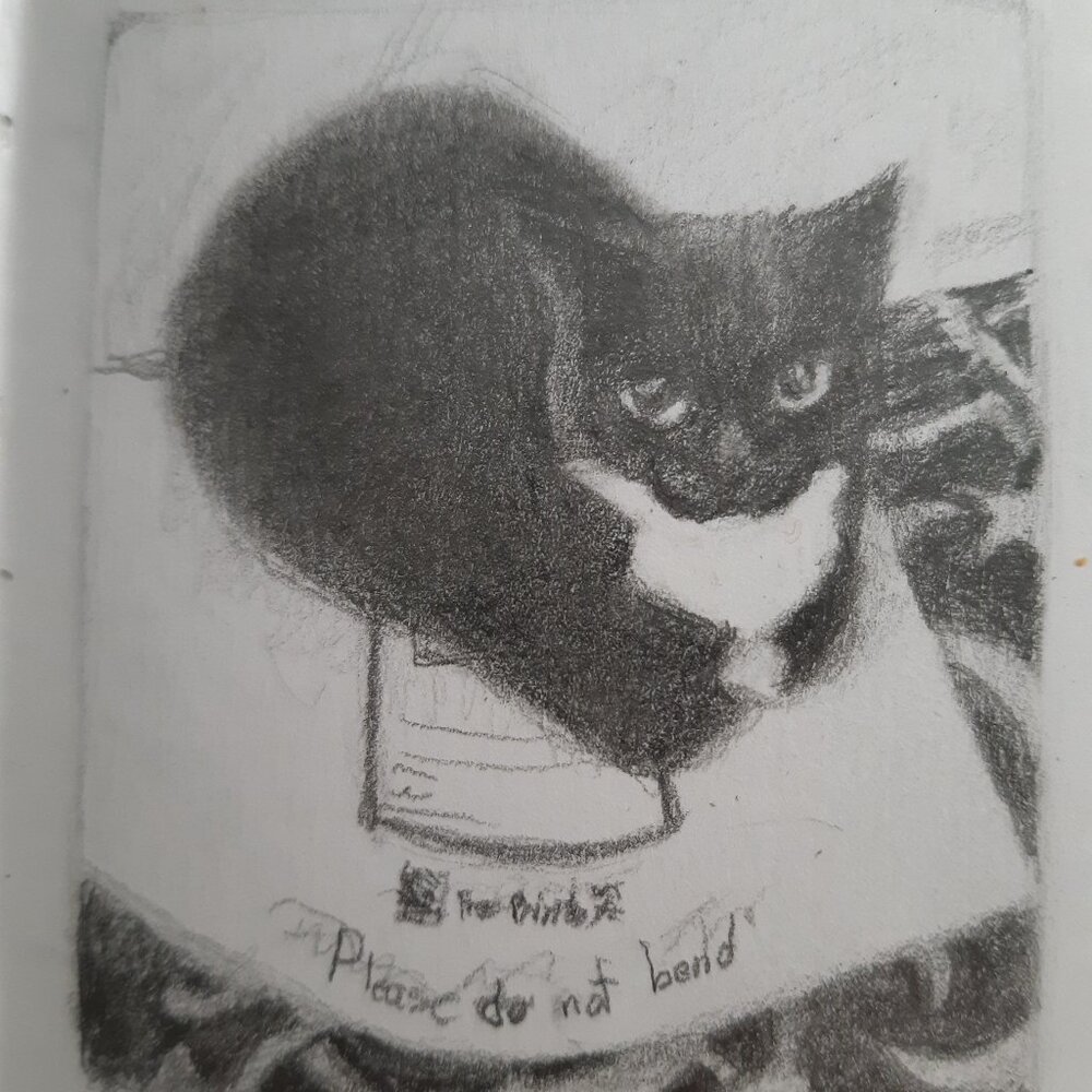 Tiny custom pet portrait